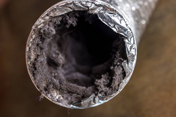 Best Local Air Duct Cleaning Services  in Lauderdale By The Sea, FL