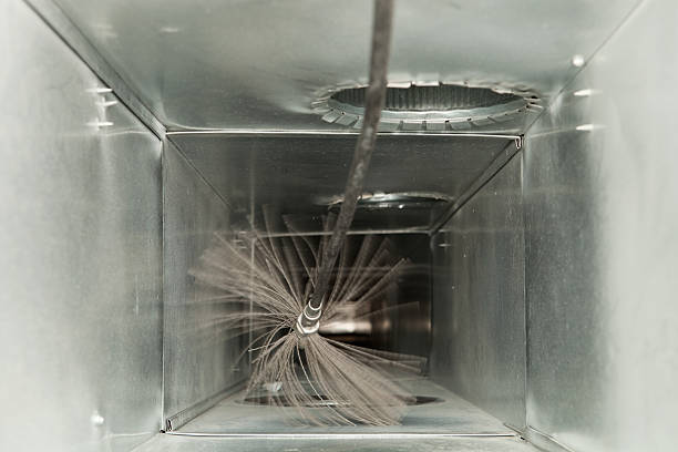 Best Dryer Vent Cleaning Services  in Lauderdale By The Sea, FL